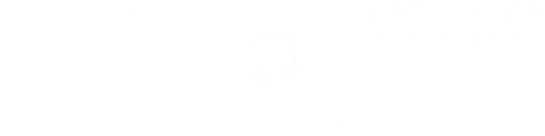 M. Niemeyer Cigarren