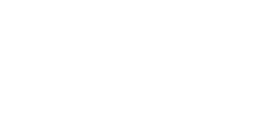 CKTs Pommes for President