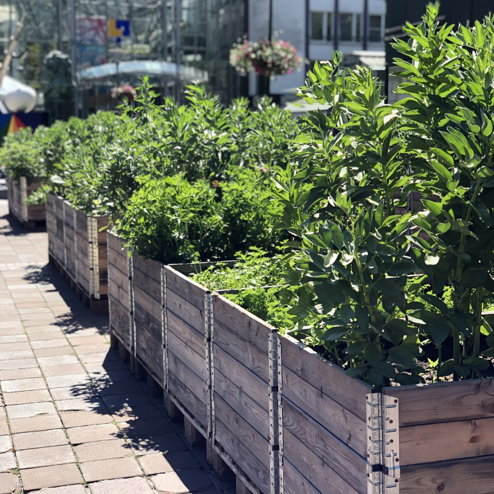 Urban Gardening | 